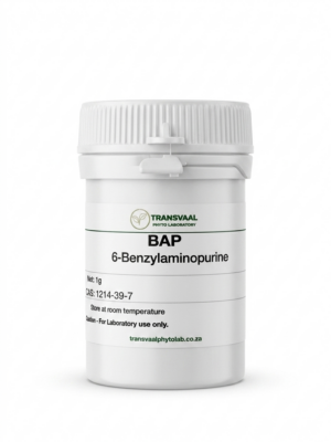 6-Benzylaminopurine (6-BAP) - 1g